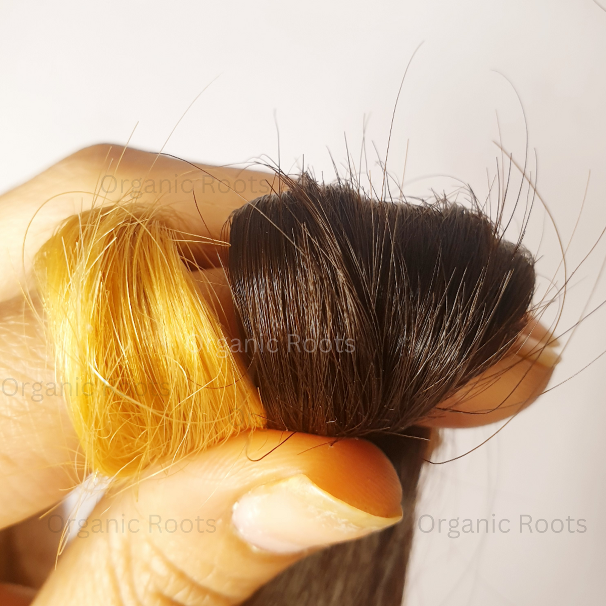 Buy Natural Hair Color Kit in Pakistan At Best Price Organic Roots