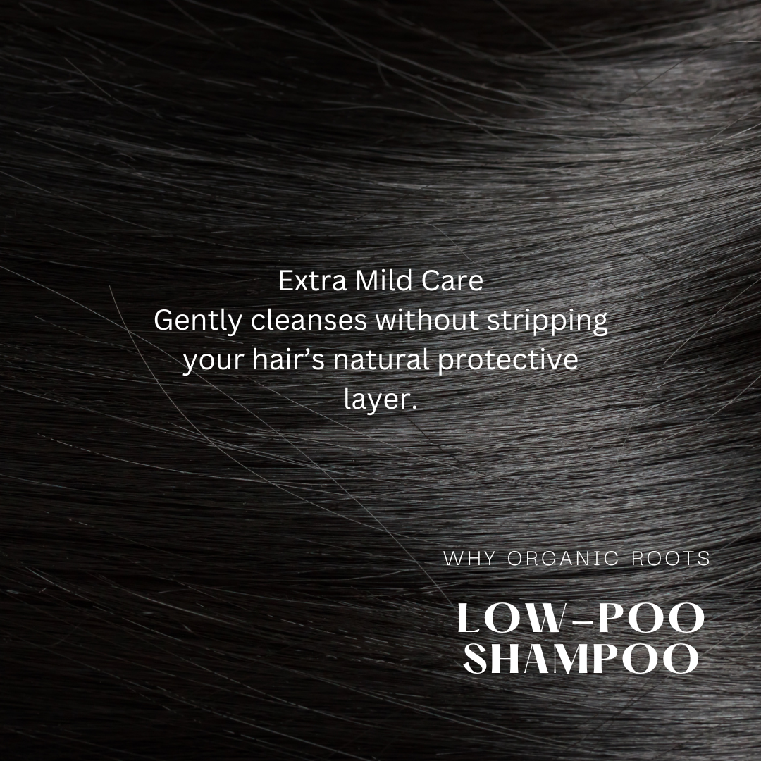 Natural Shampoo & Conditioner (Reetha) 300ml