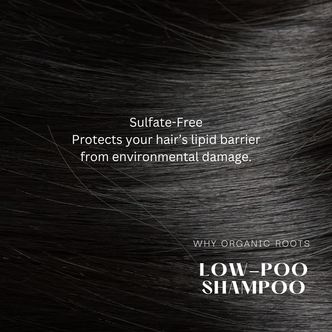 Natural Shampoo & Conditioner (Reetha) 300ml
