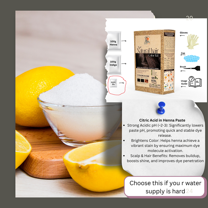 Natural Color Kit | Combo Kit (Indigo + Henna + Accessories)