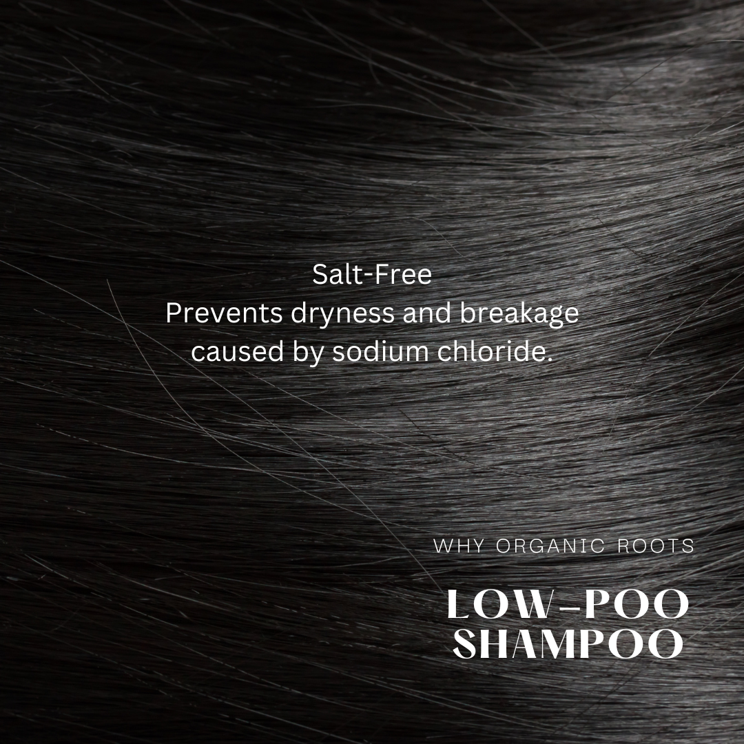 Natural Shampoo & Conditioner (Reetha) 300ml