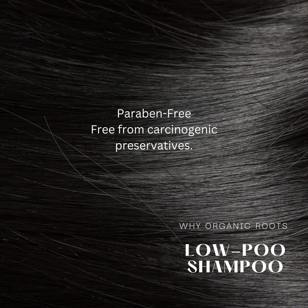 Natural Shampoo & Conditioner (Reetha) 300ml