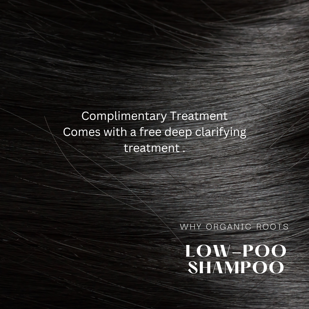 Natural Shampoo & Conditioner (Reetha) 300ml