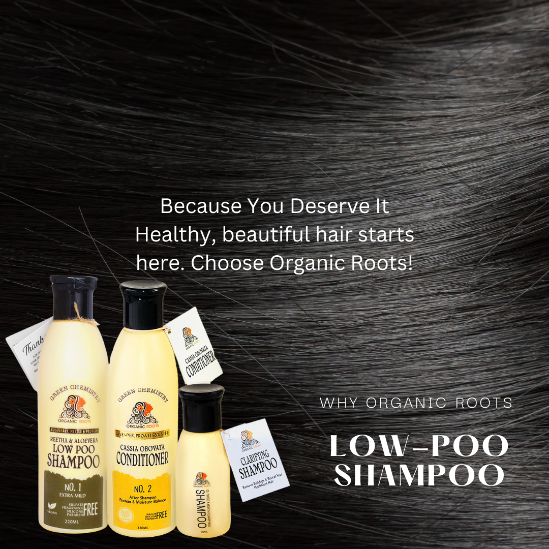 Natural Shampoo & Conditioner (Reetha) 300ml